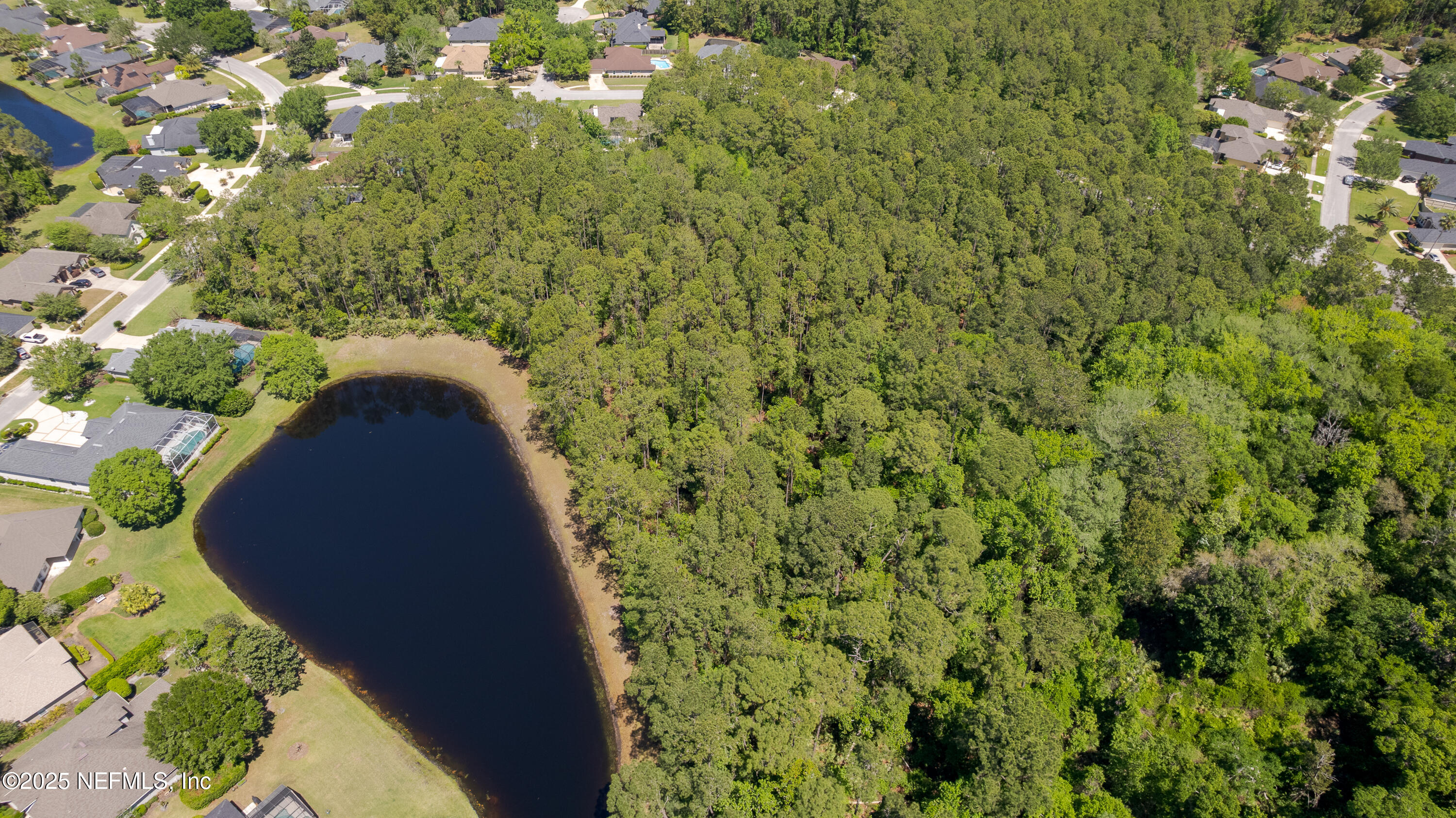 0 Timbermill Road Jacksonville, FL 32256 - Photo 12 of 28 TP-12