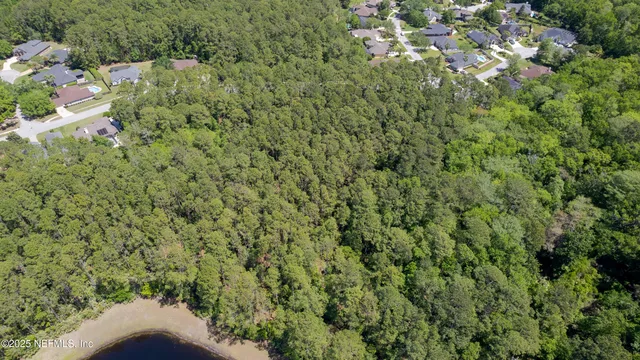 a view of a house with a plant