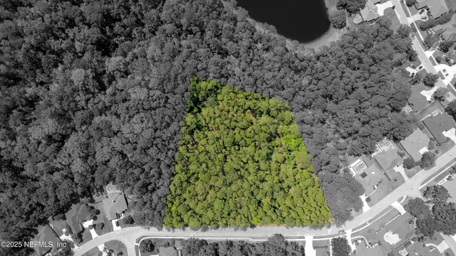 a view of a garden with a tree