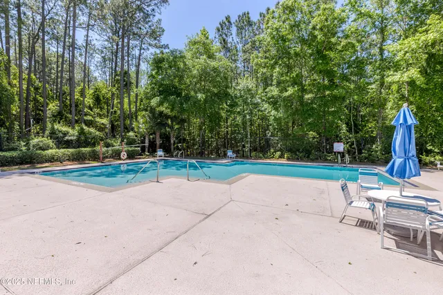 a view of a park with plants