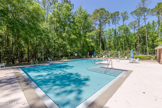 a view of a park with large trees