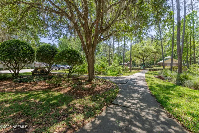 a view of outdoor space with trees all around