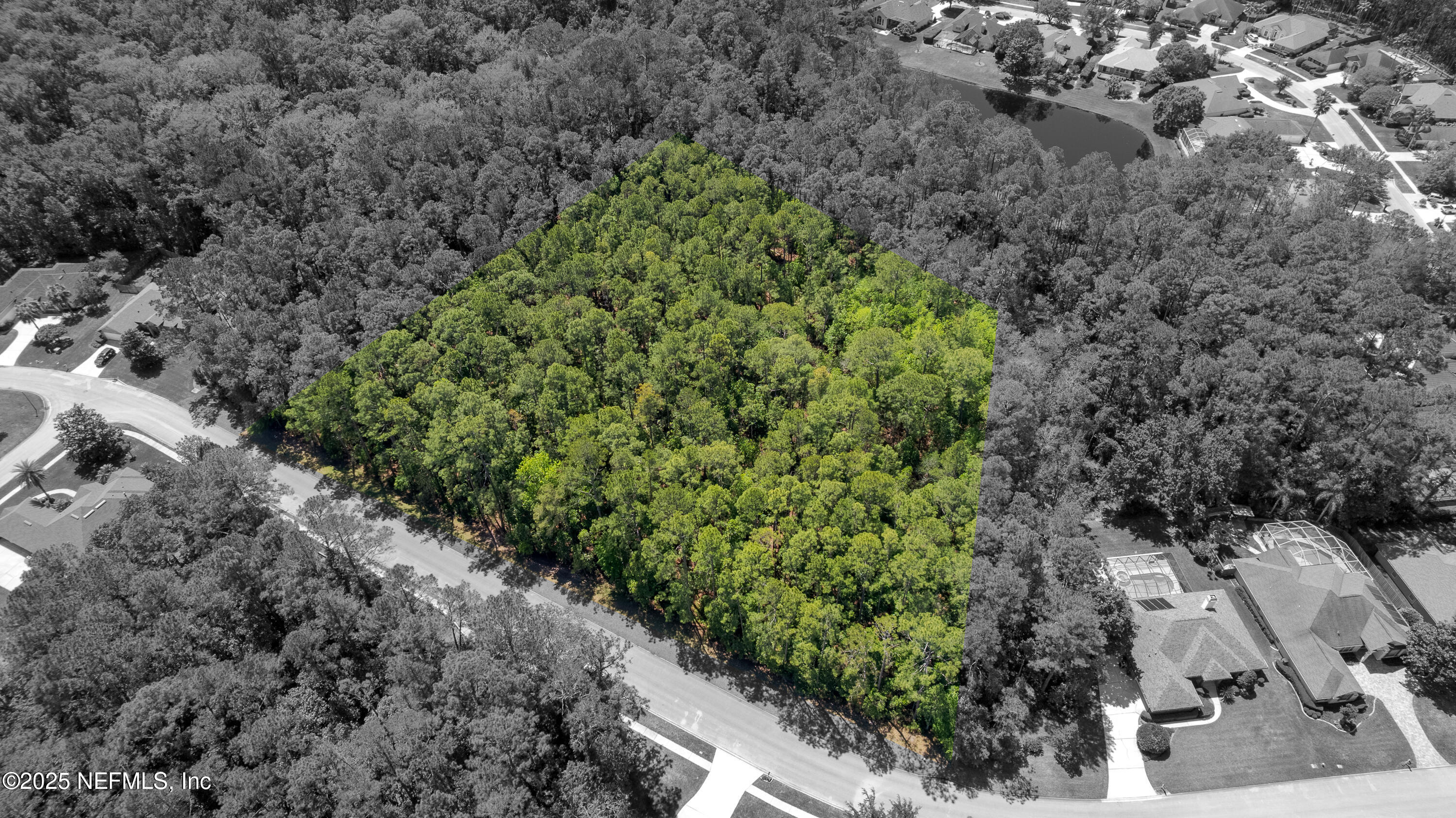 0 Timbermill Road Jacksonville, FL 32256 - Photo 6 of 28 TP-5