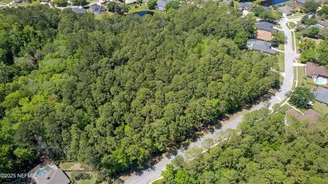 a view of a lush green forest with lots of trees