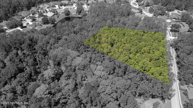 a view of a bunch of trees