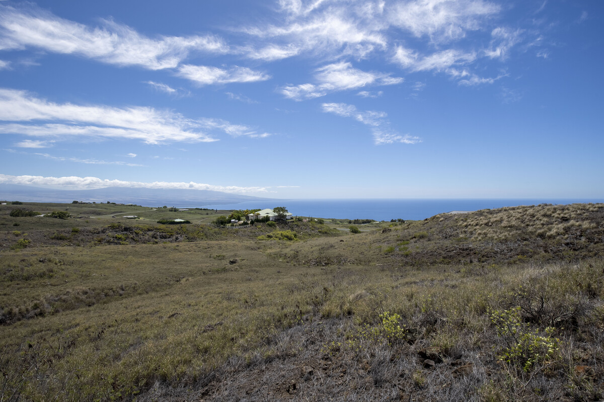 458 Lot Kamuela, HI 96743 - Photo 11 of 12 a view of a big yard with lots of bushes