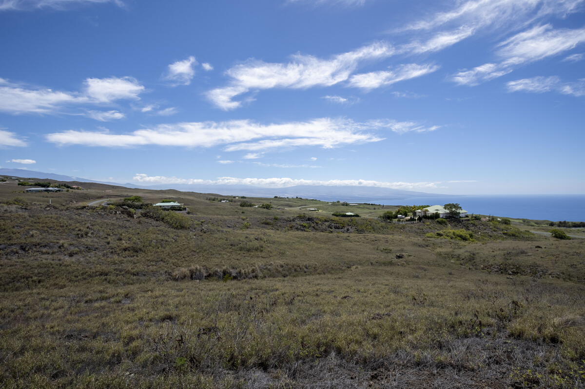 458 Lot Kamuela, HI 96743 - Photo 10 of 12 a view of a big yard with lots of bushes