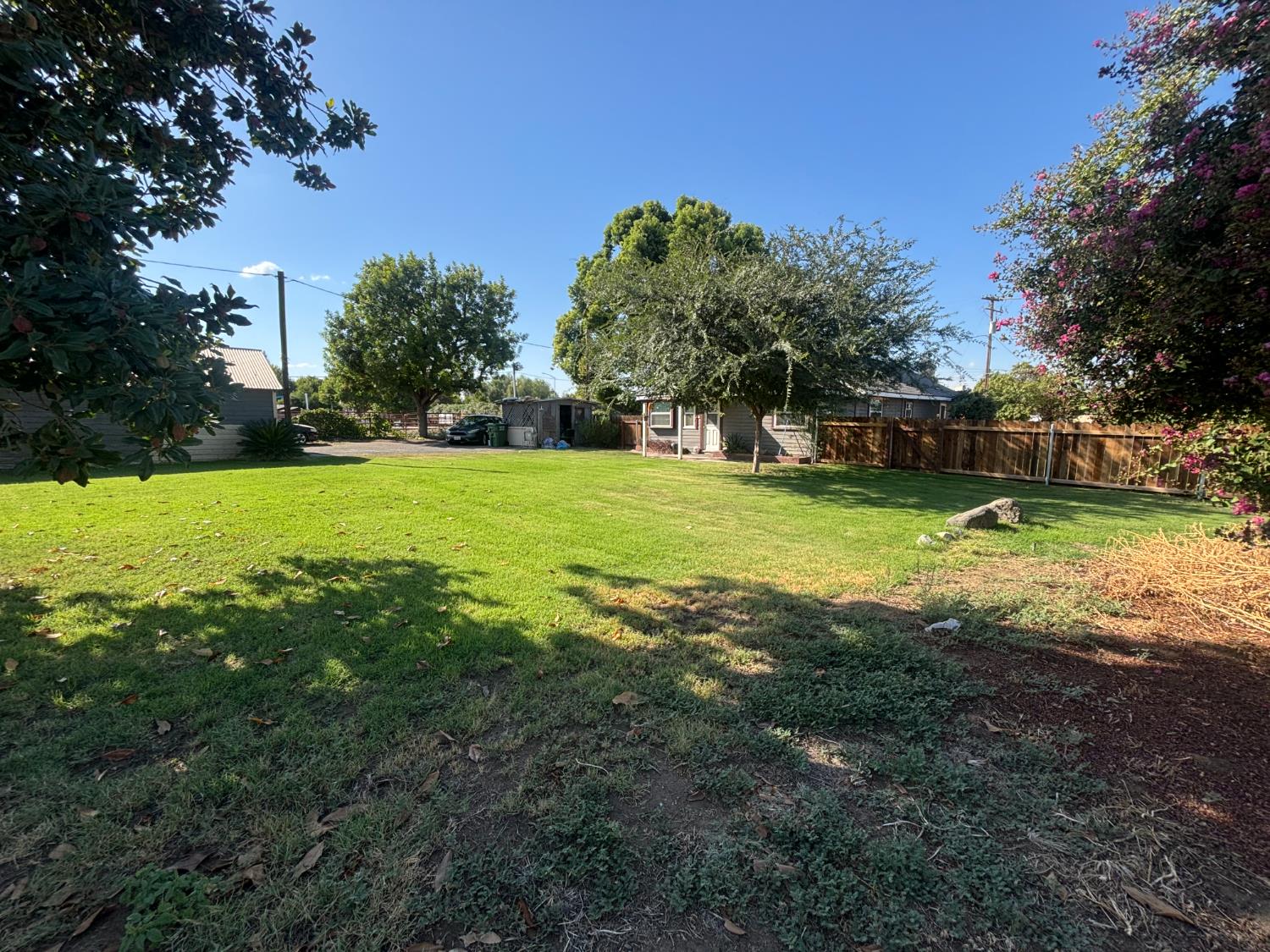 19317 East Parlier Avenue Reedley, CA 93654 - Photo 8 of 36 a view of a big yard with plants and large trees