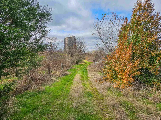 a view of a big yard with a tree
