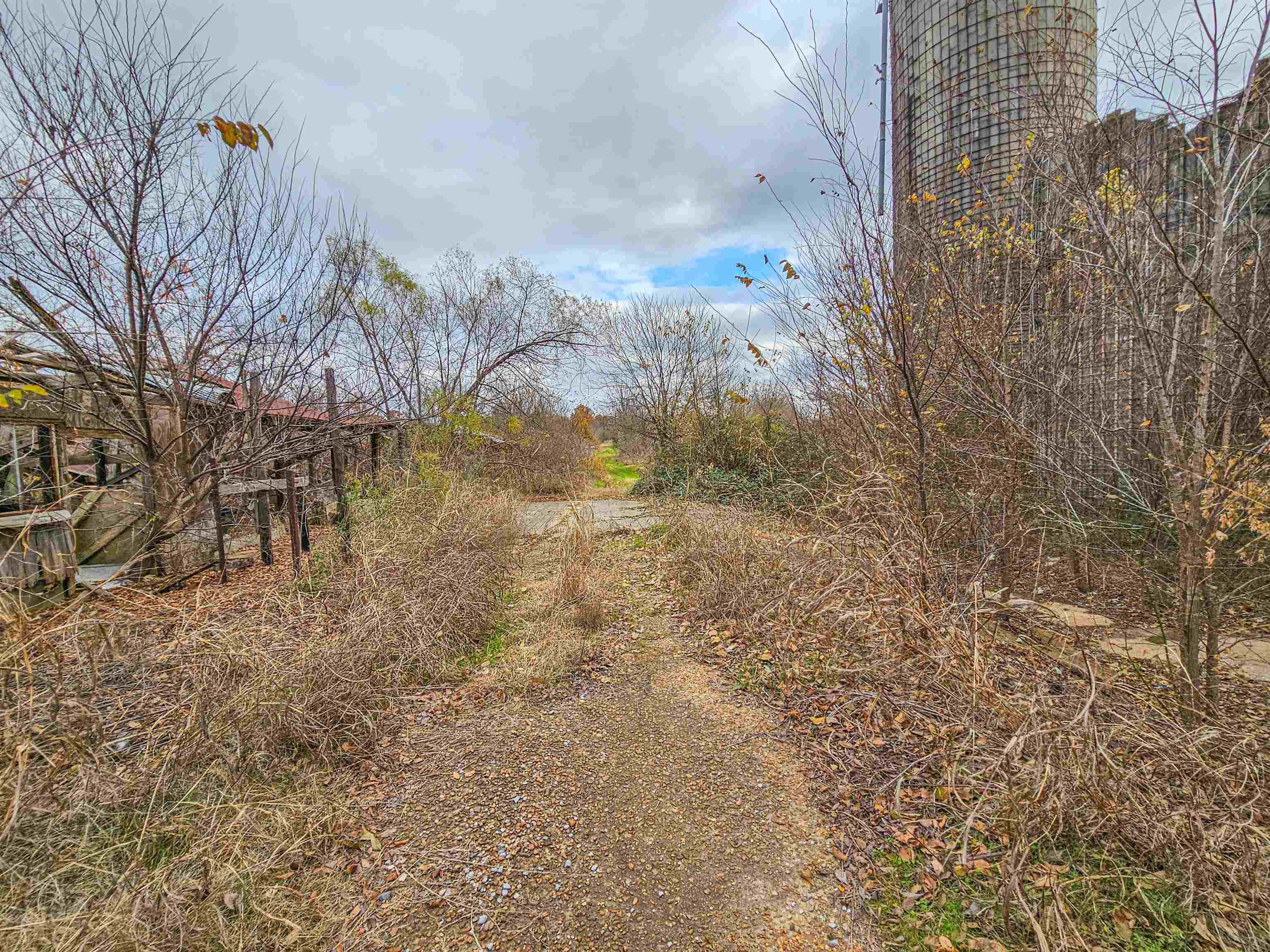 Fisherville Road Collierville, TN 38017 - Photo 19 of 30