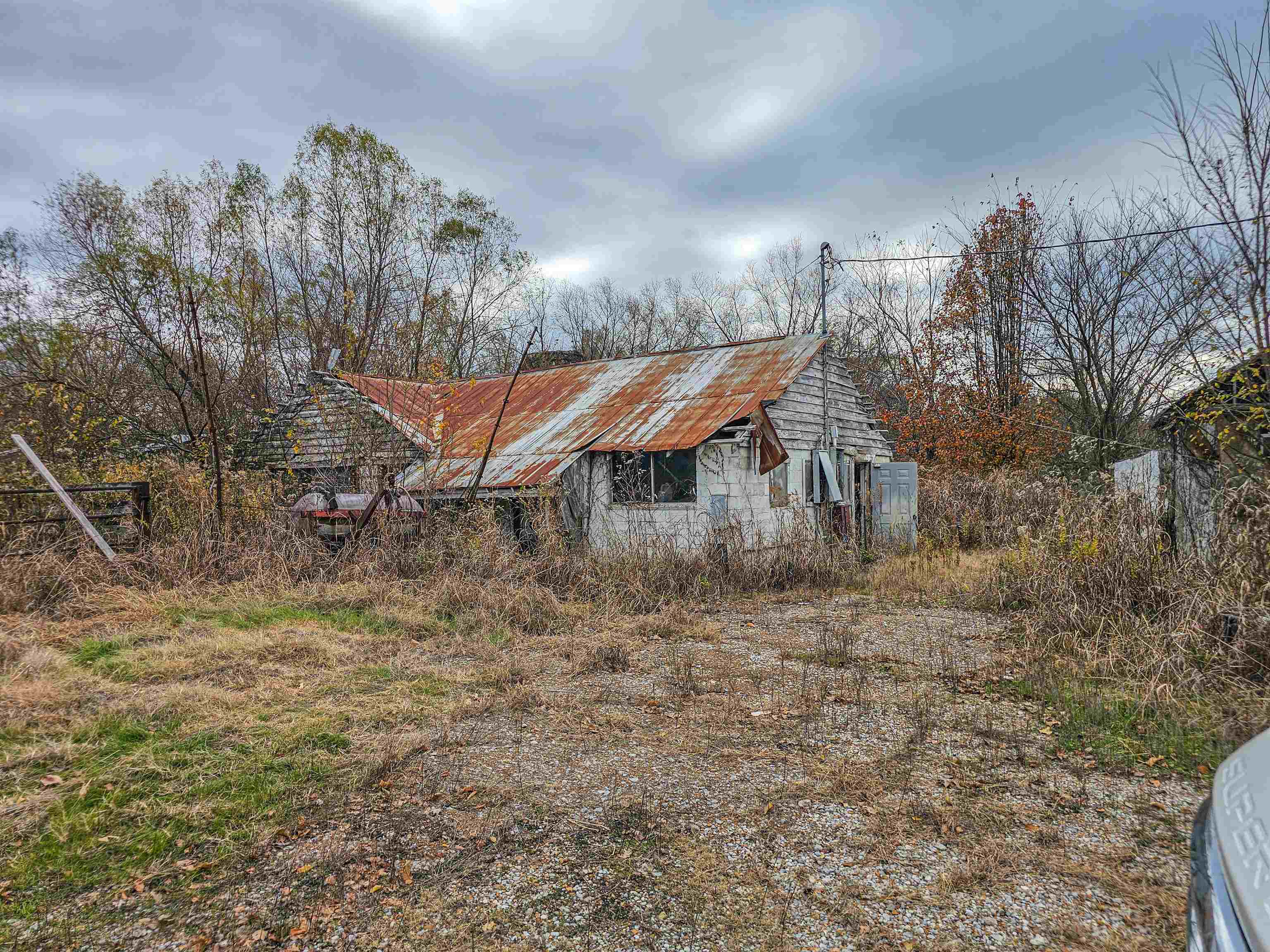 Fisherville Road Collierville, TN 38017 - Photo 2 of 30 a view of a big yard with a tree
