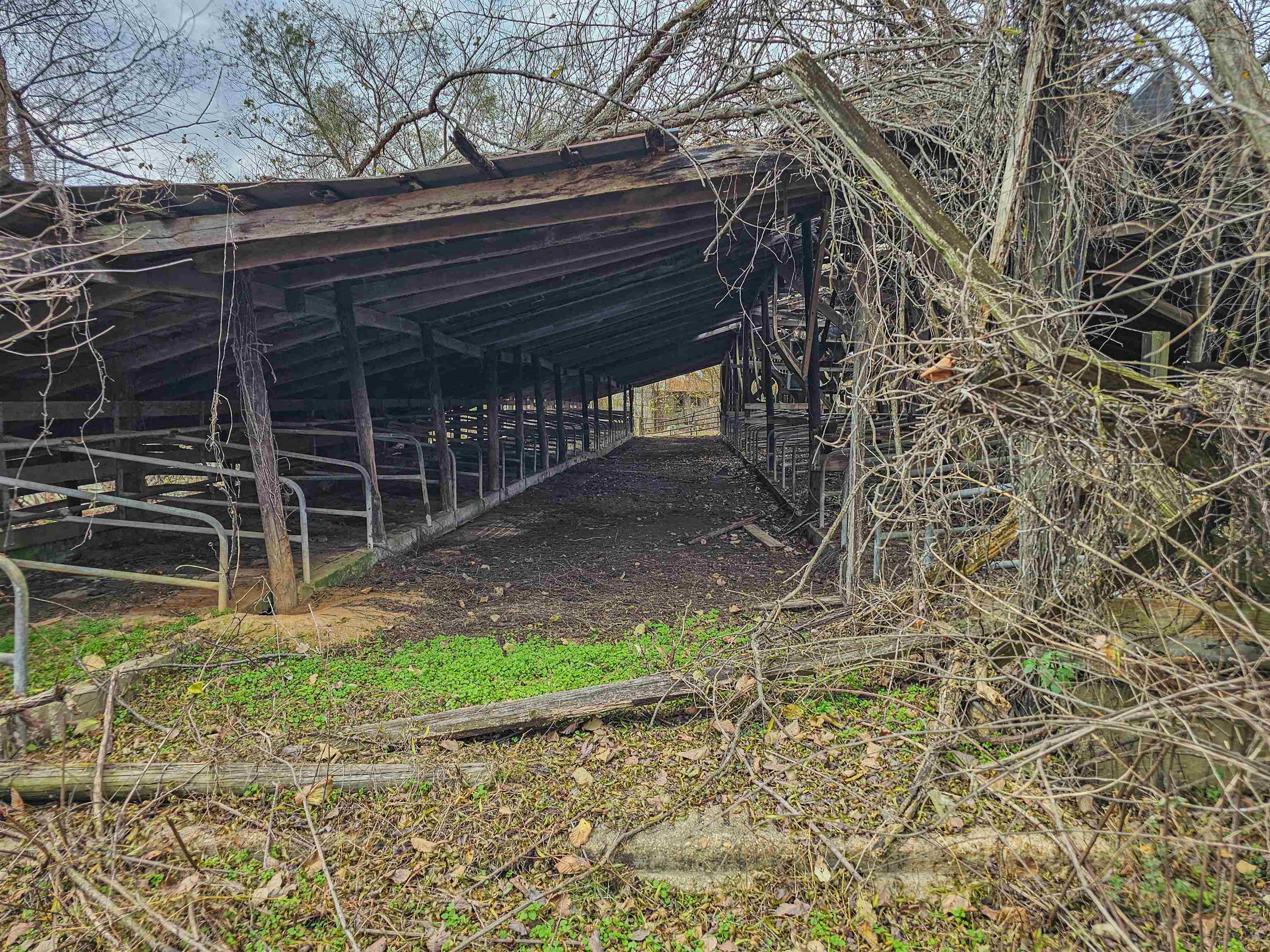 Fisherville Road Collierville, TN 38017 - Photo 23 of 30 a backyard of a house with lots of green space and glass windows