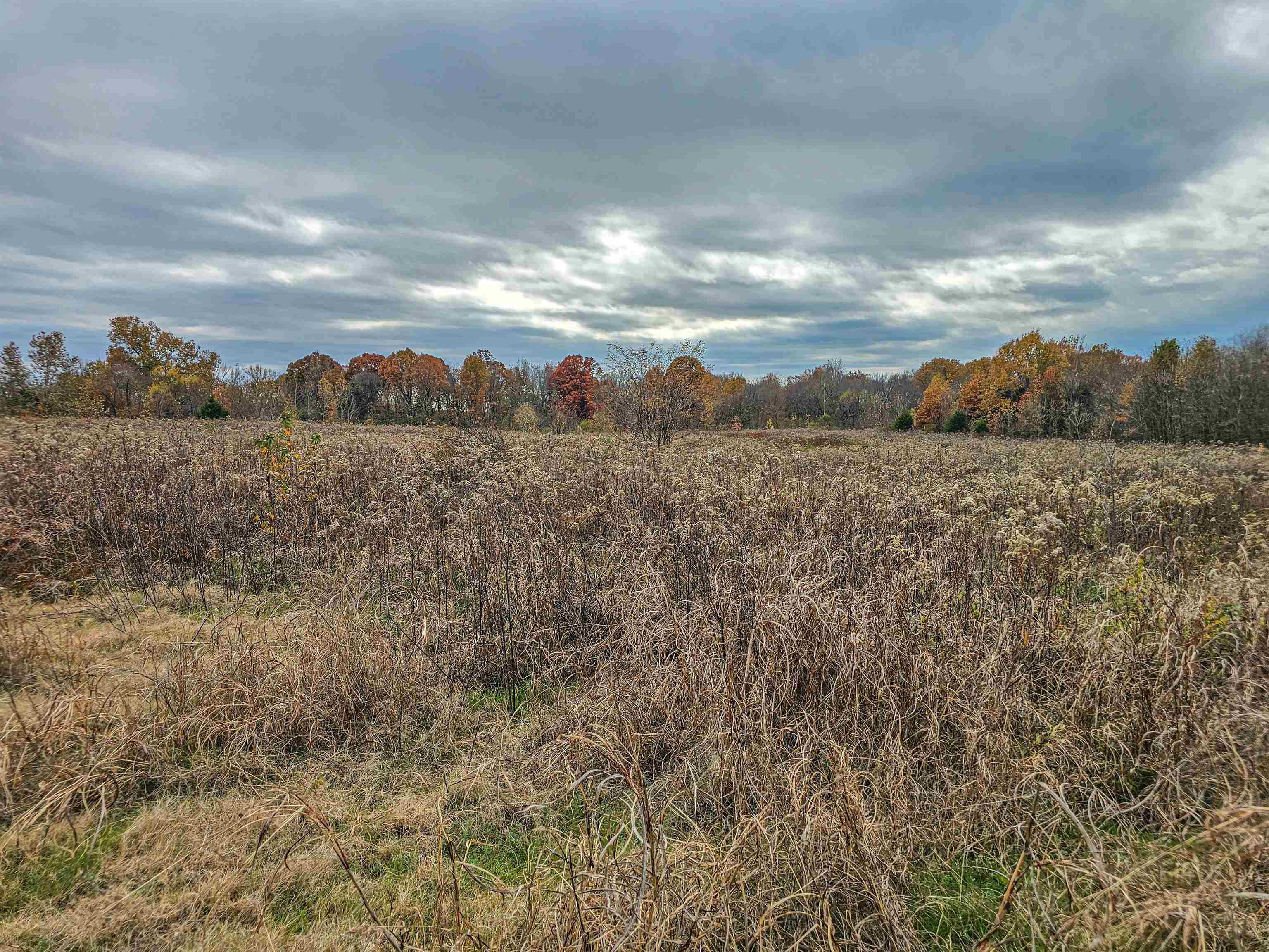 Fisherville Road Collierville, TN 38017 - Photo 28 of 30 a view of an lake and mountain
