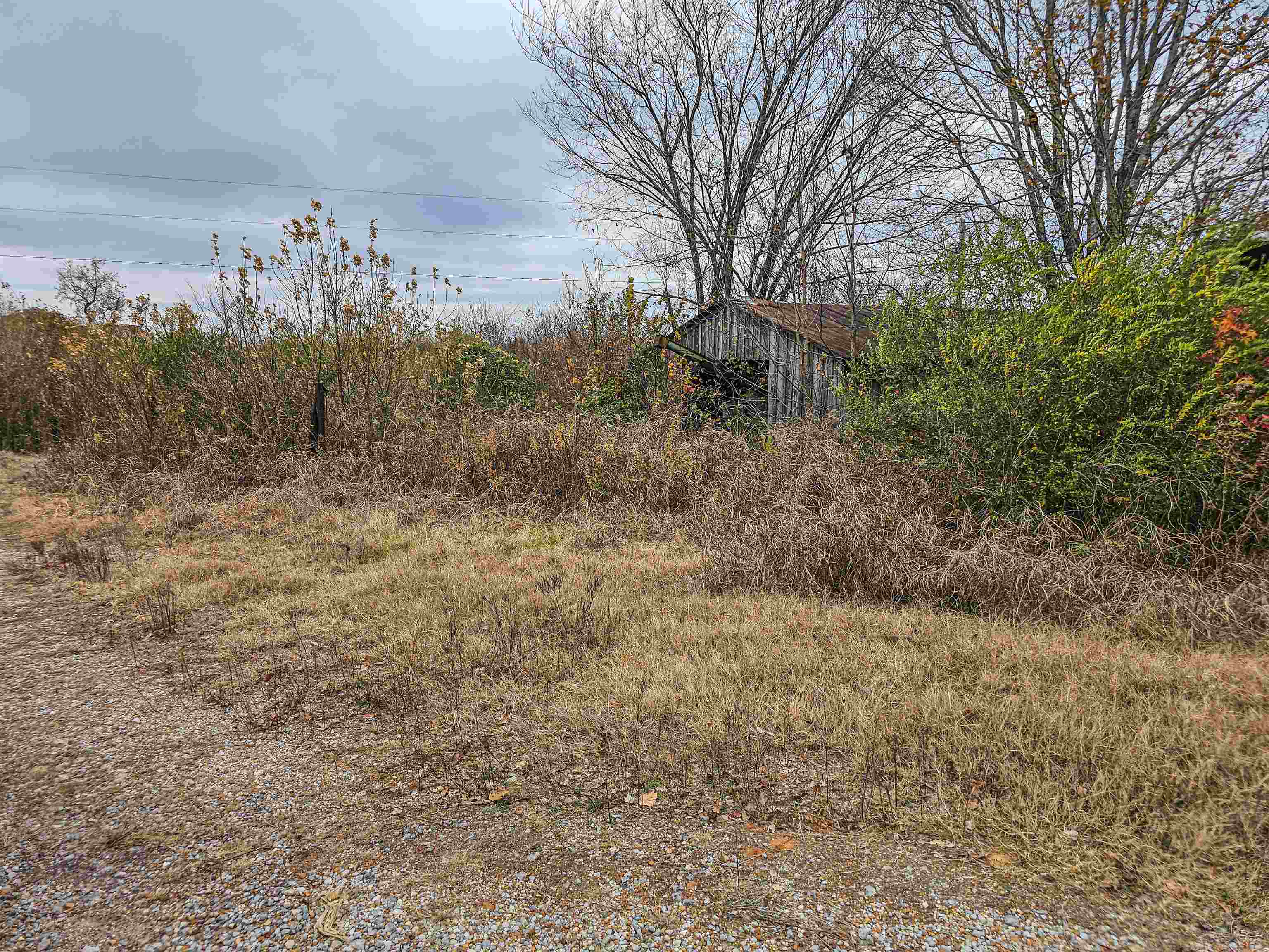 Fisherville Road Collierville, TN 38017 - Photo 4 of 30 a view of a dry yard with trees