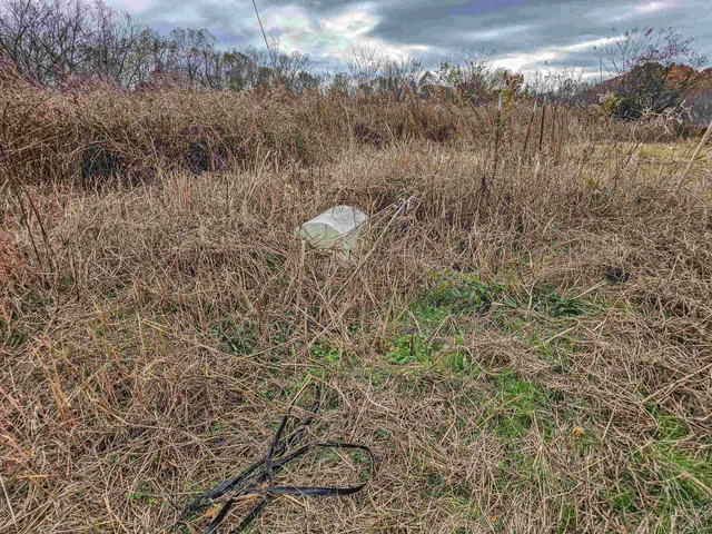 a big yard with lots of green space