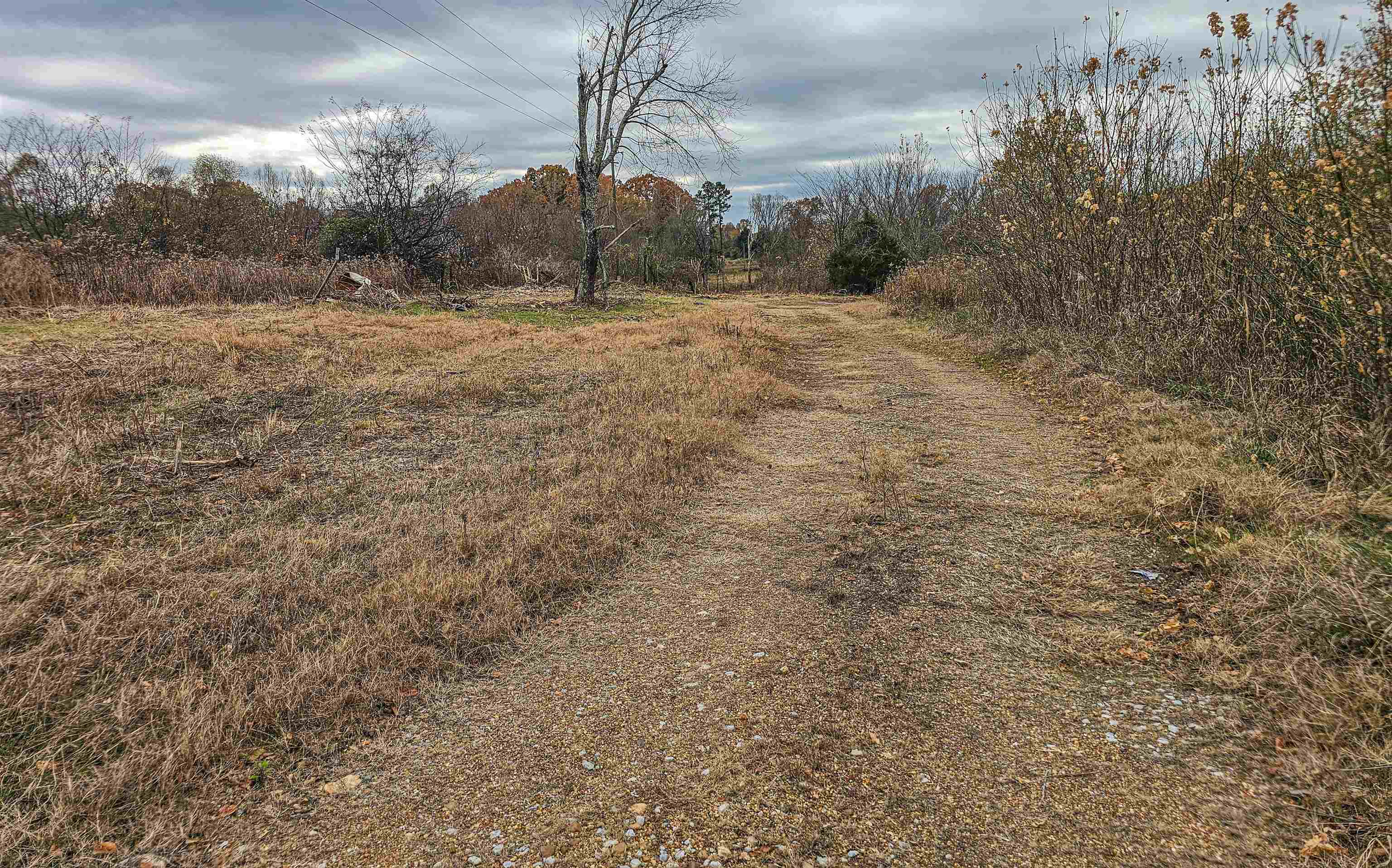 Fisherville Road Collierville, TN 38017 - Photo 6 of 30 a big yard with lots of green space