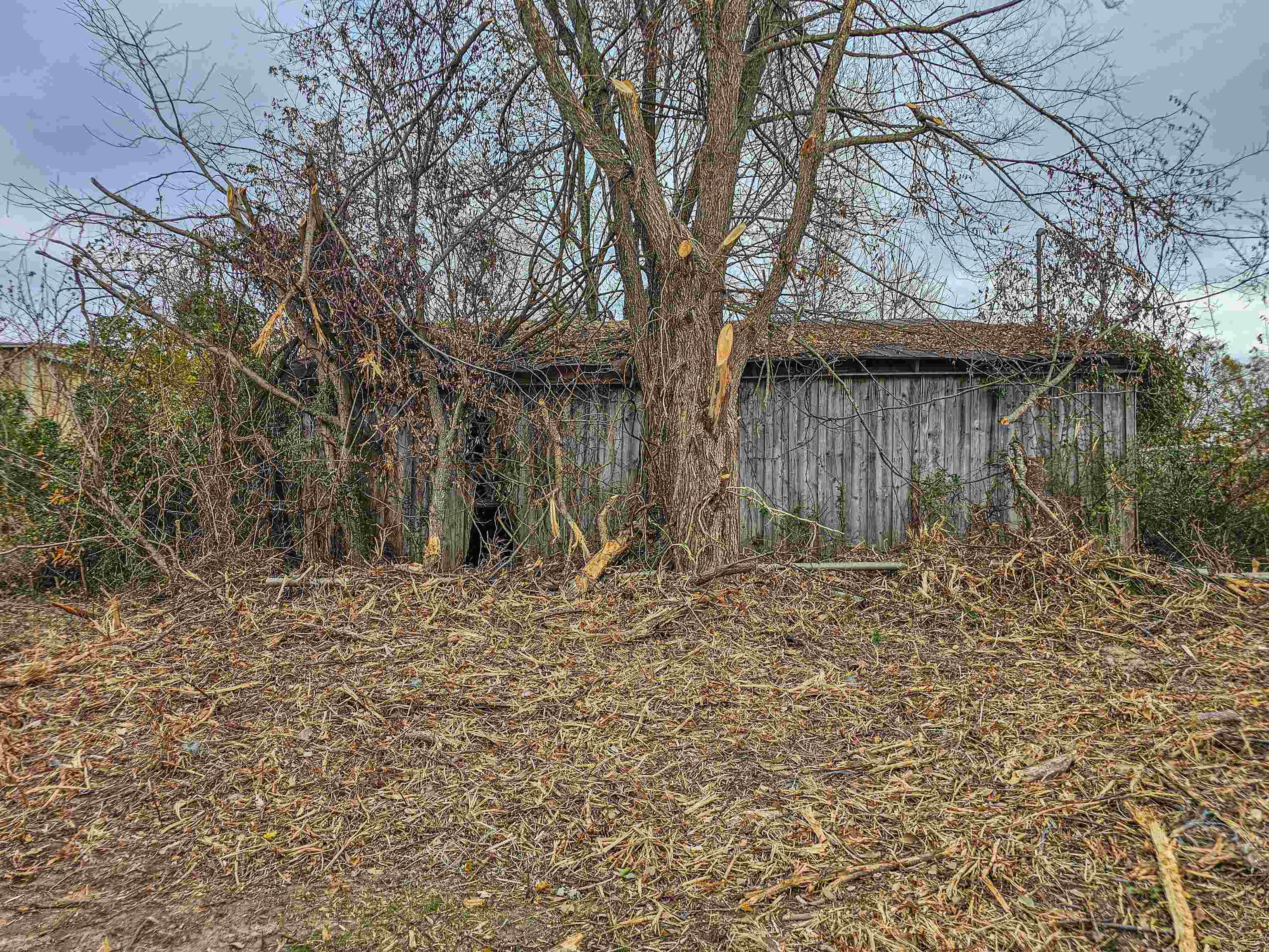 Fisherville Road Collierville, TN 38017 - Photo 9 of 30 a backyard of a house with lots of green space
