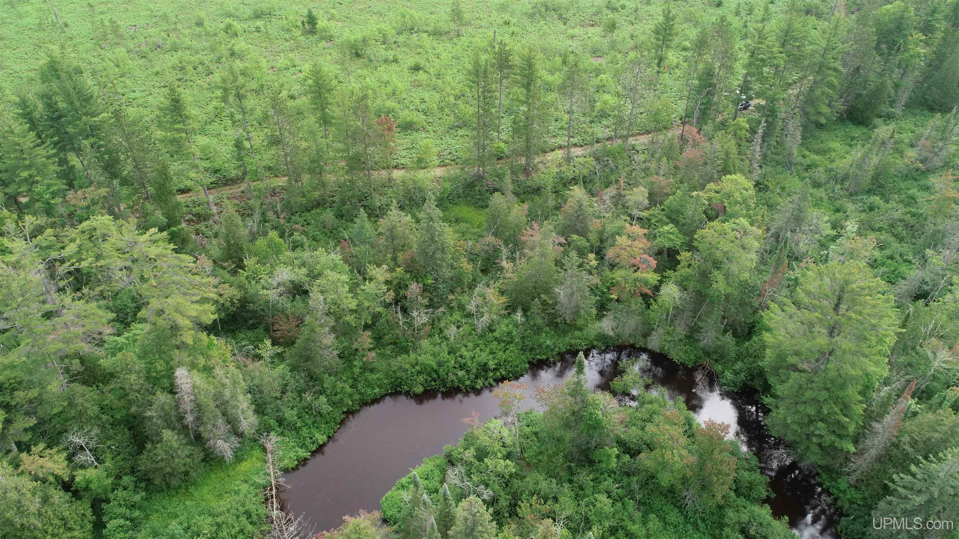 Tbd Tbd Hay Meadow Road Manistique, MI 49854 - Photo 2 of 51