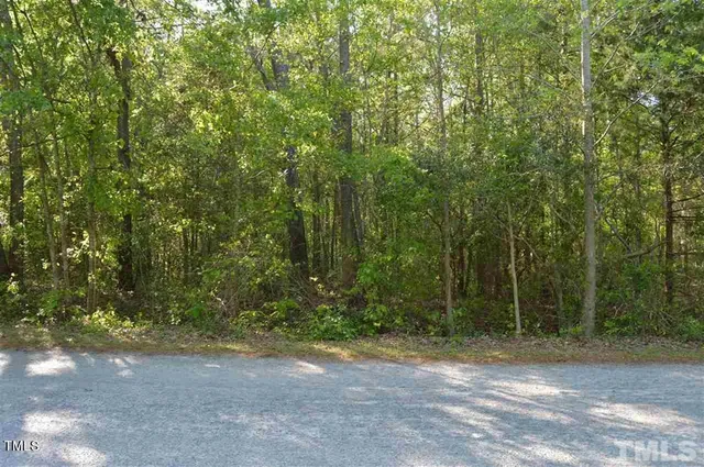 $90,000 | 0 Old Stage Road South, Erwin, NC 28339
