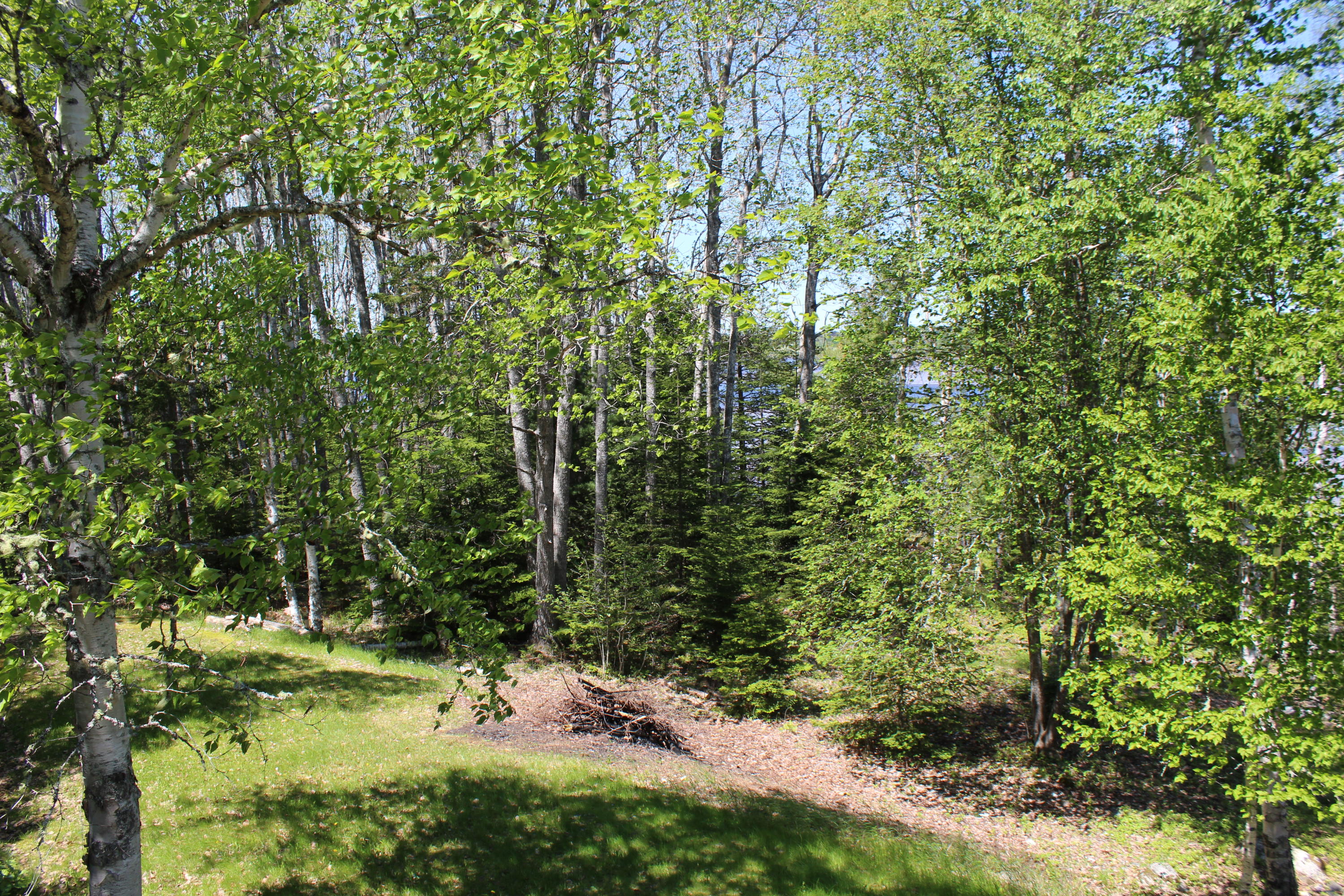 73 East Side Road Machiasport, ME 04655 - Photo 24 of 34 IMG_3794