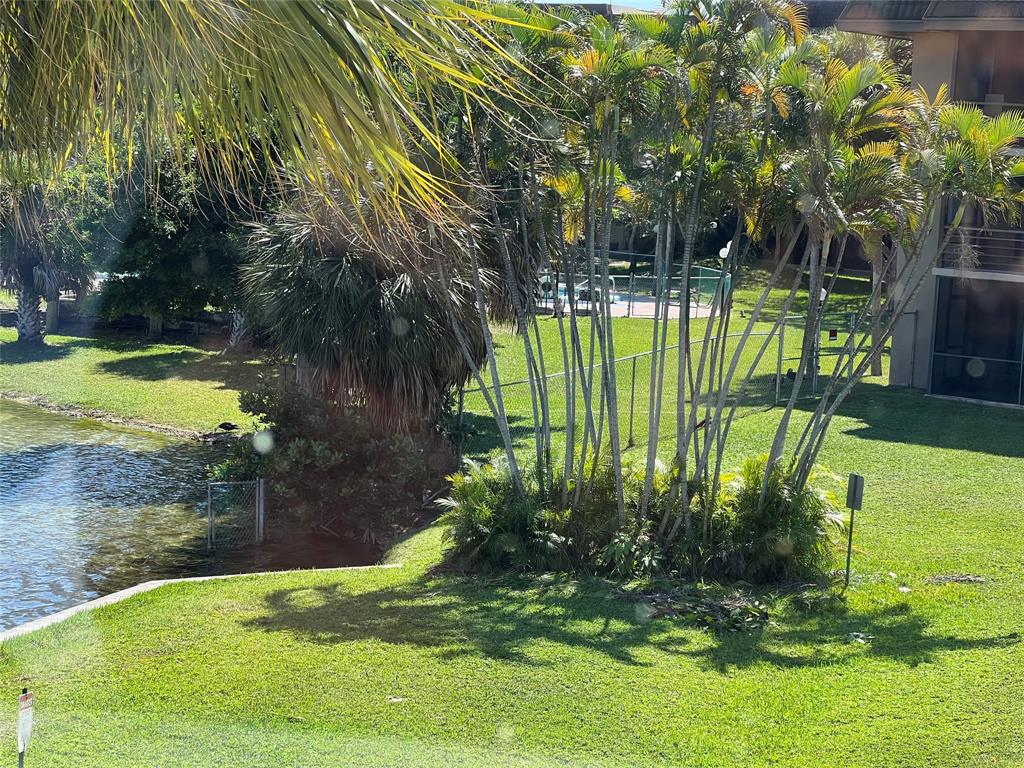 Royal Oaks Miami, FL 33179 - Photo 7 of 9 a view of swimming pool from a garden