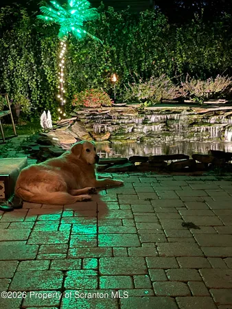 a close view of sink