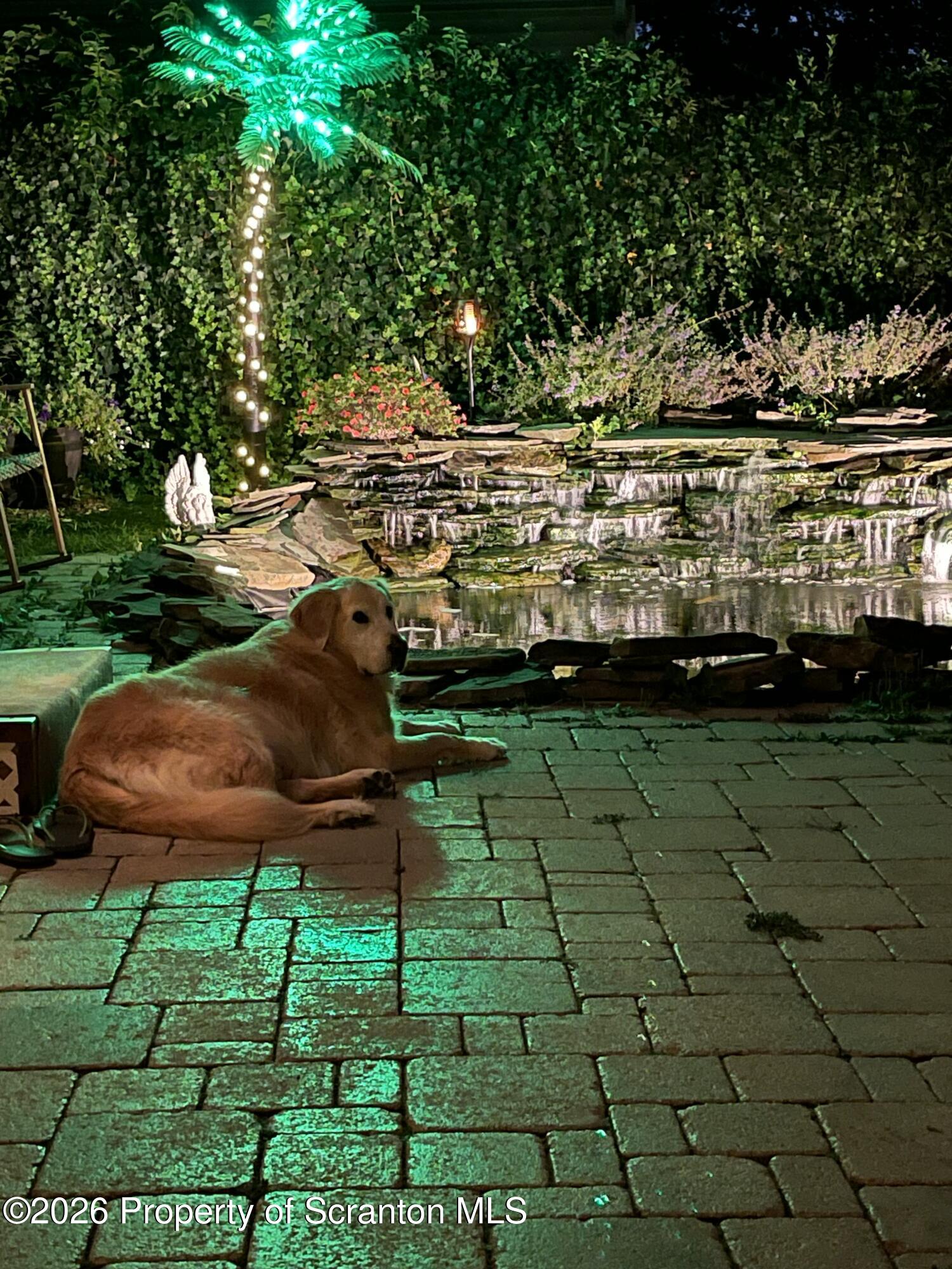 1947 Myrtle Street Scranton, PA 18510 - Photo 6 of 33 a view of yard with seating area