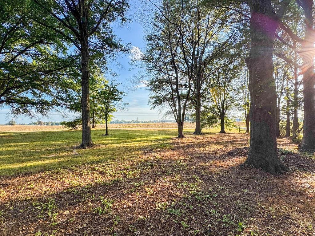 96 Whaley Road Covington, TN 38019 - Photo 15 of 39 Gallery Image 15