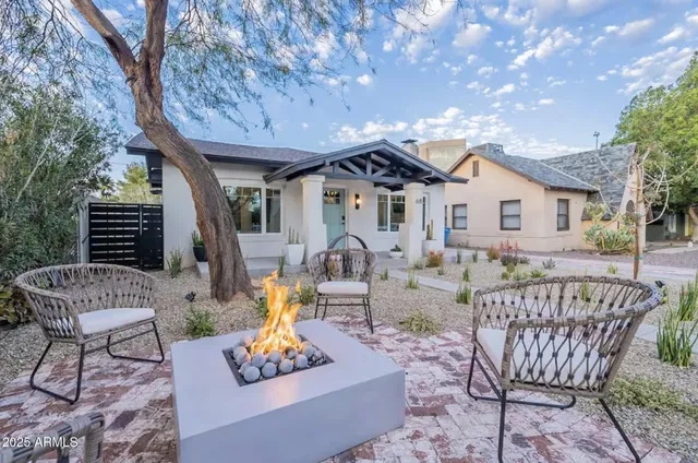 a outdoor space with patio the couches and a fireplace with the potted plants