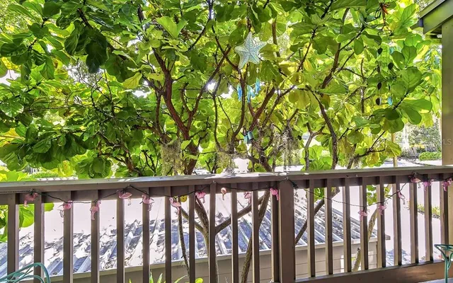 a view of a wooden fence and trees