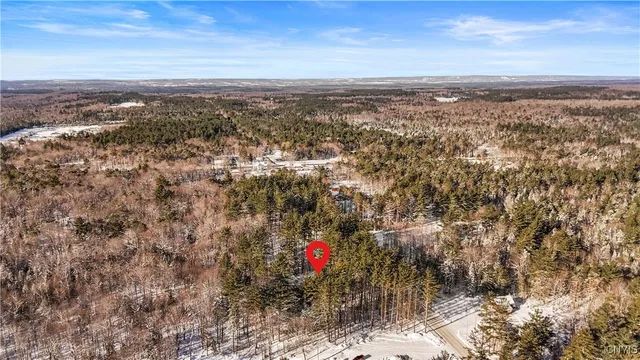 $425,000 | 1134 Bear Creek Road, Forestport, NY 13494