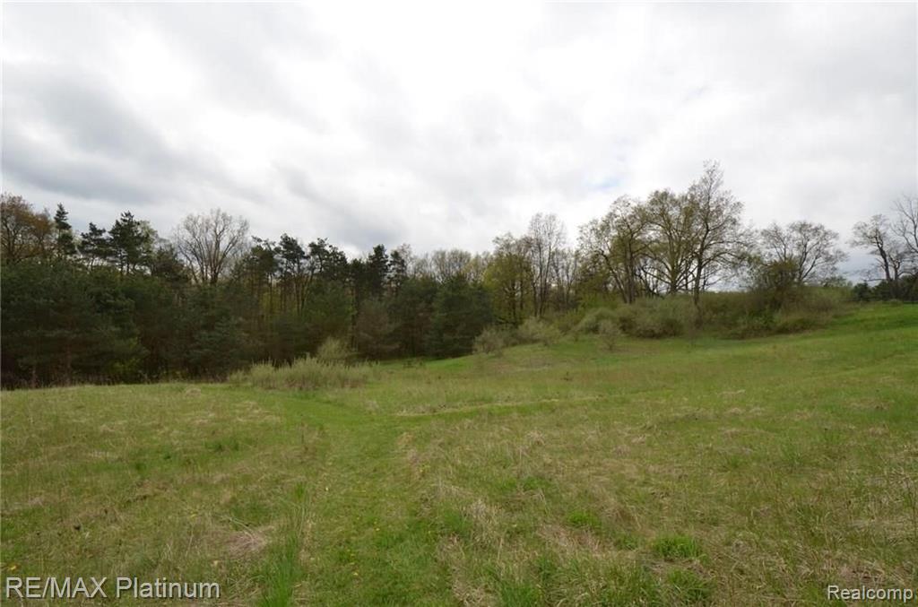 Parcel A Silverbell Road Rochester, MI 48306 - Photo 2 of 31