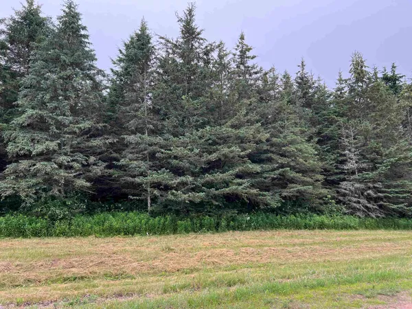 $35,000 | Lot 7 Sue Alan Drive, Wittenberg, WI 54499