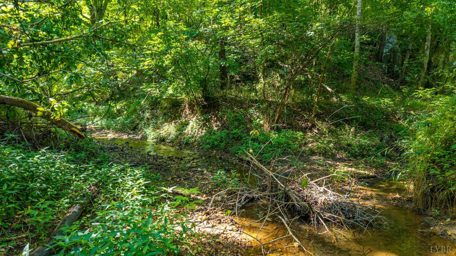 0 Mt Athos Road Lynchburg, VA 24504 - Photo 40 of 42