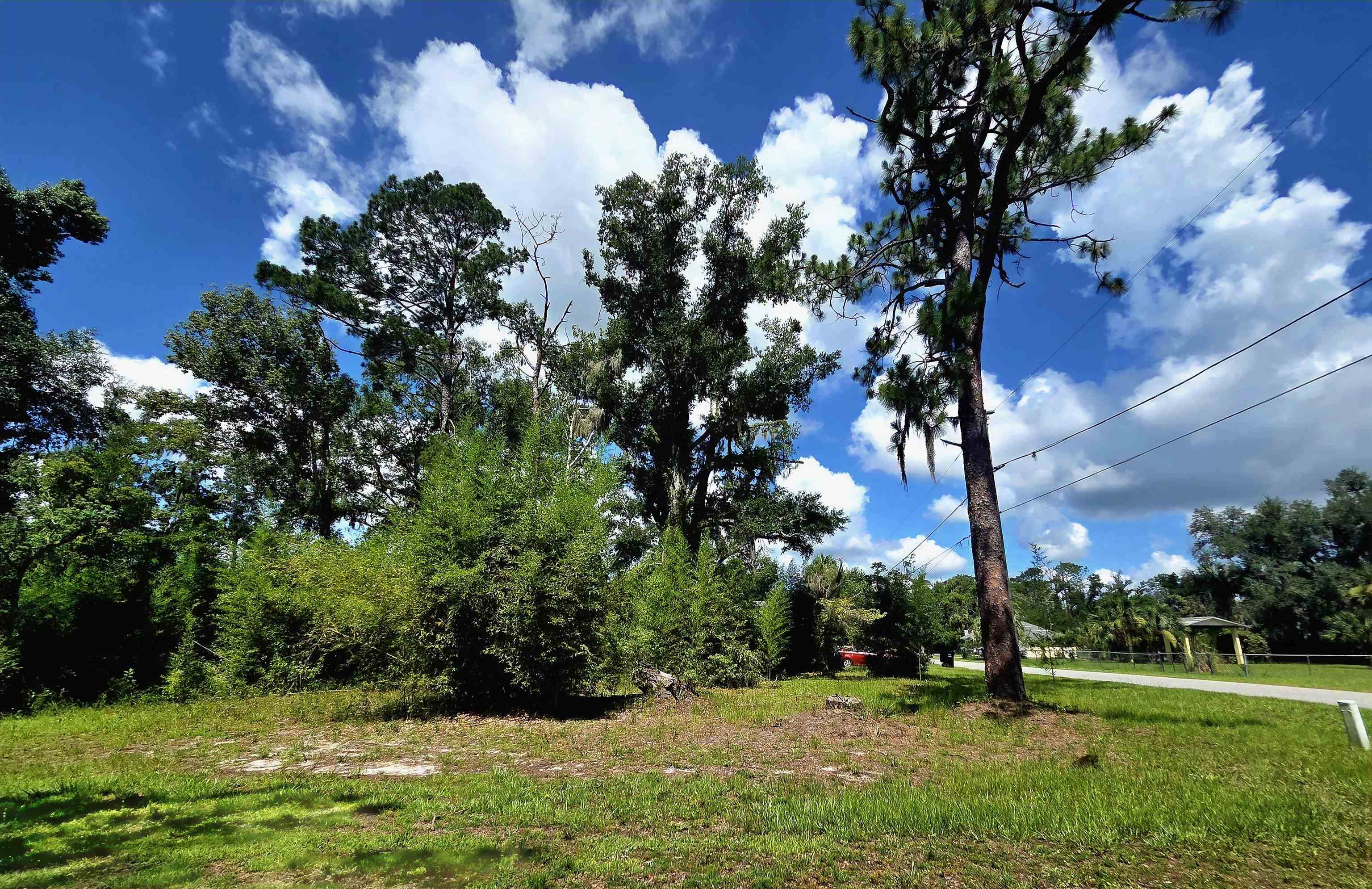 Lot 1 North Washington Street Perry, FL 32347 - Photo 1 of 8
