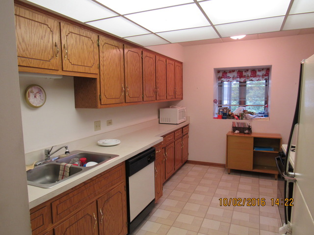 10640 Ridgeland Avenue, Unit 2A Chicago Ridge, IL 60415 - Photo 3 of 15 a kitchen with a sink window and cabinets