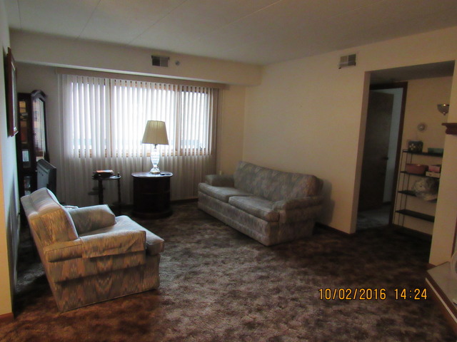 10640 Ridgeland Avenue, Unit 2A Chicago Ridge, IL 60415 - Photo 5 of 15 a living room with furniture and a large window