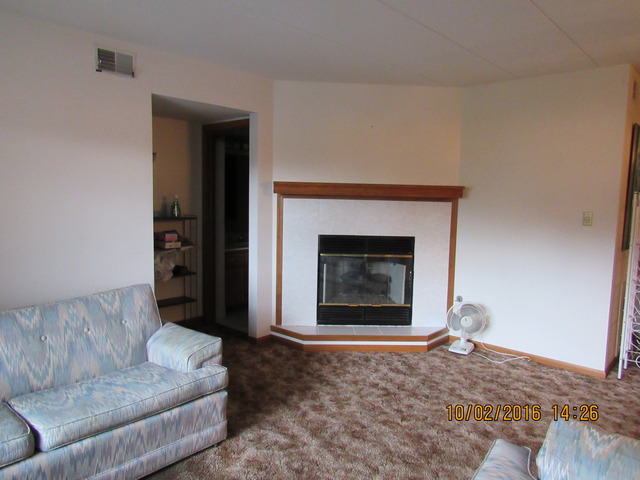 10640 Ridgeland Avenue, Unit 2A Chicago Ridge, IL 60415 - Photo 7 of 15 a living room with furniture and a fireplace