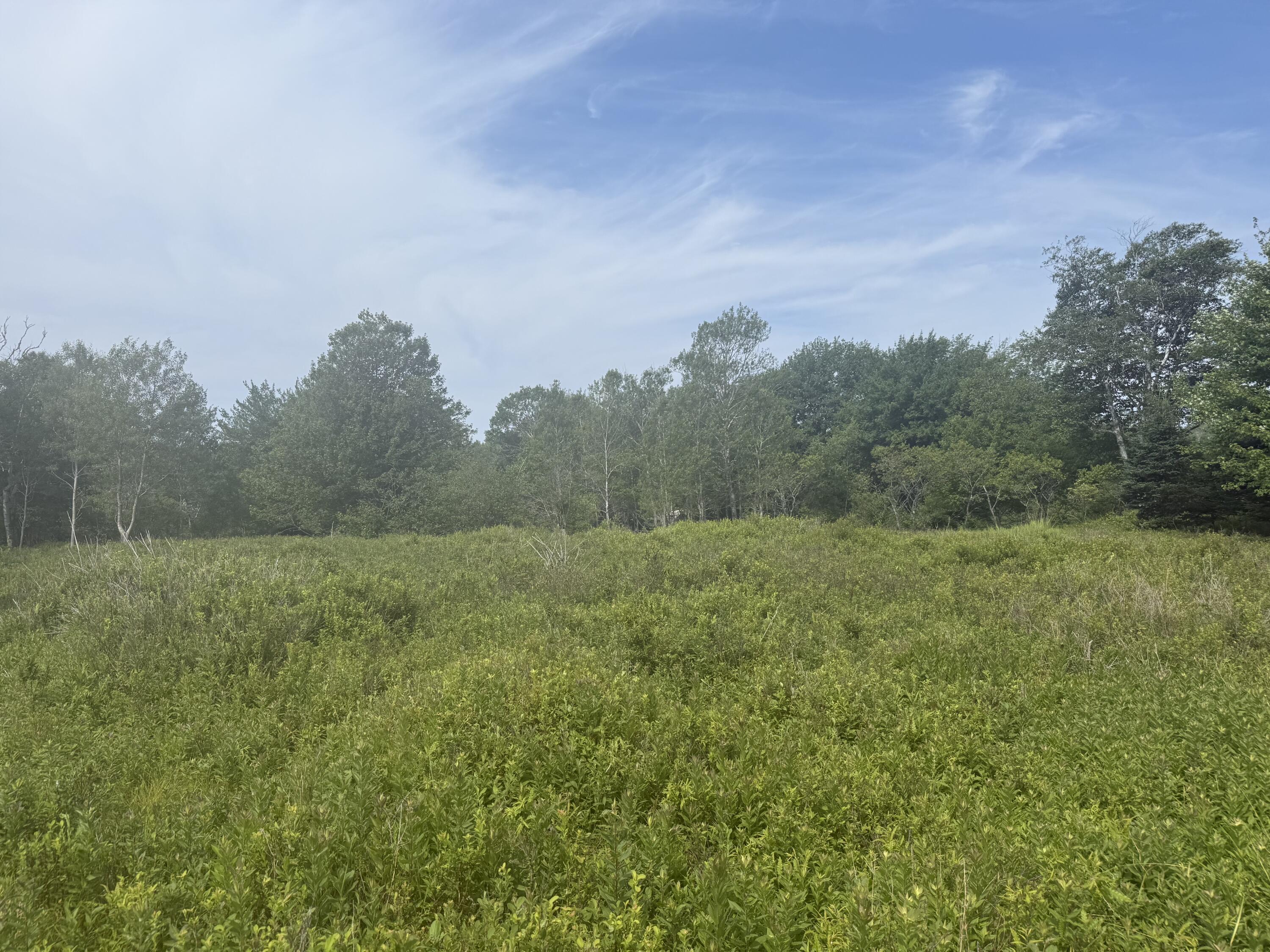 6-60 Round The Island Road Vinalhaven, ME 04863 - Photo 12 of 26 IMG_1959