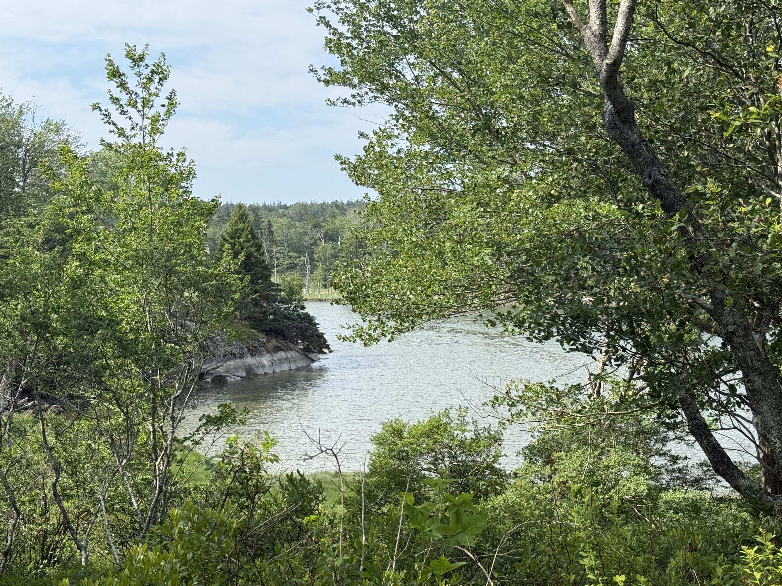 6-60 Round The Island Road Vinalhaven, ME 04863 - Photo 13 of 26 IMG_1940