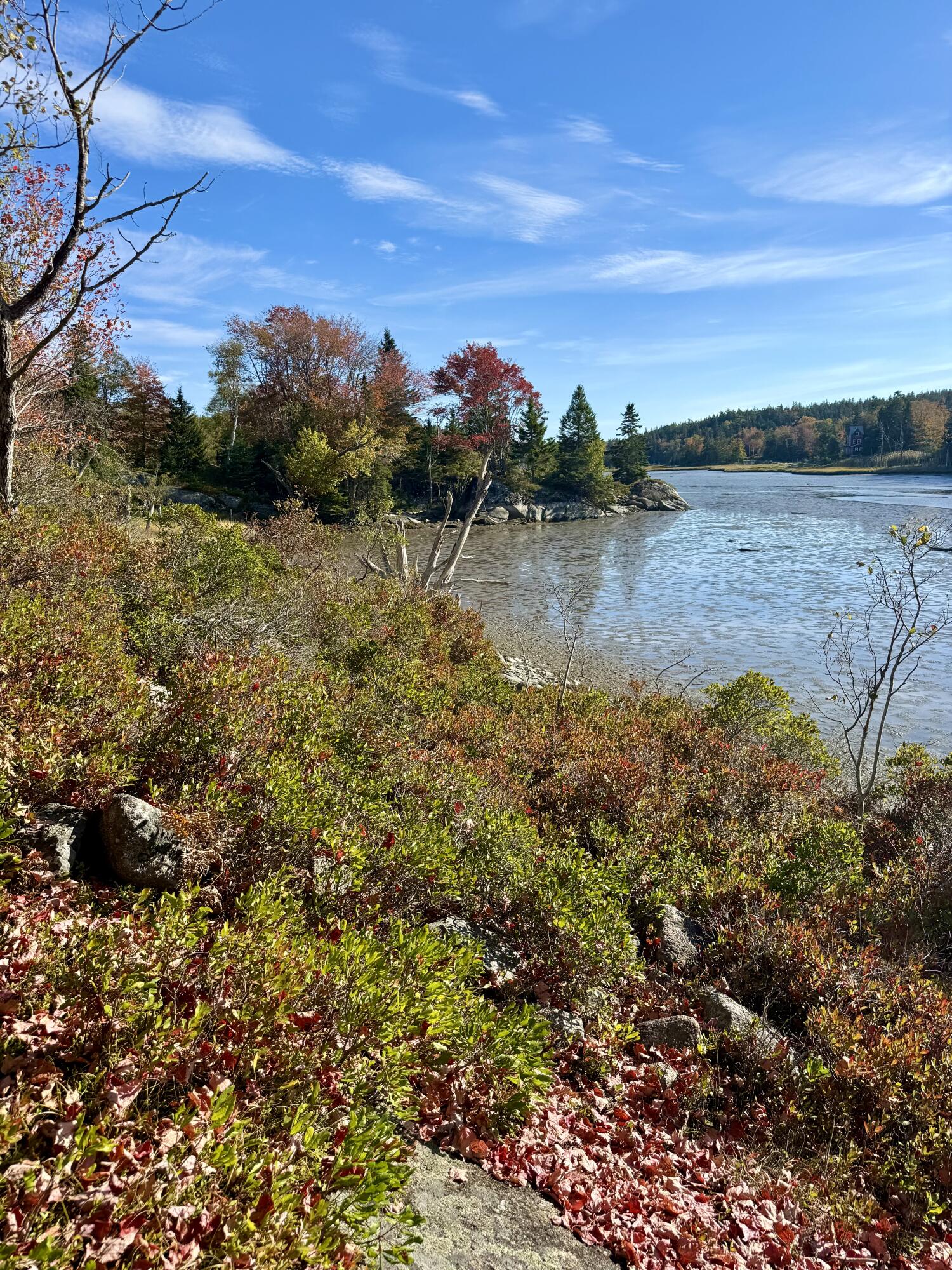 6-60 Round The Island Road Vinalhaven, ME 04863 - Photo 21 of 26 IMG_3564