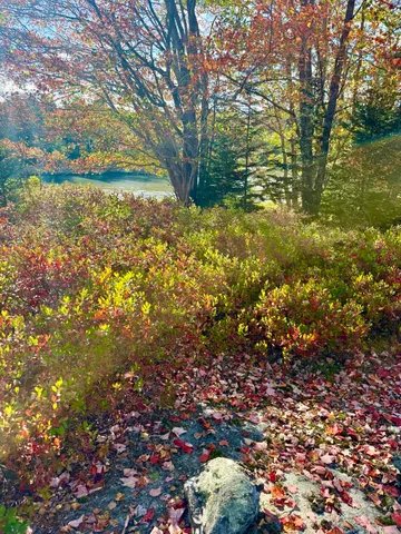 $600,000 | 6-60 Round The Island Road, Vinalhaven, ME 04863