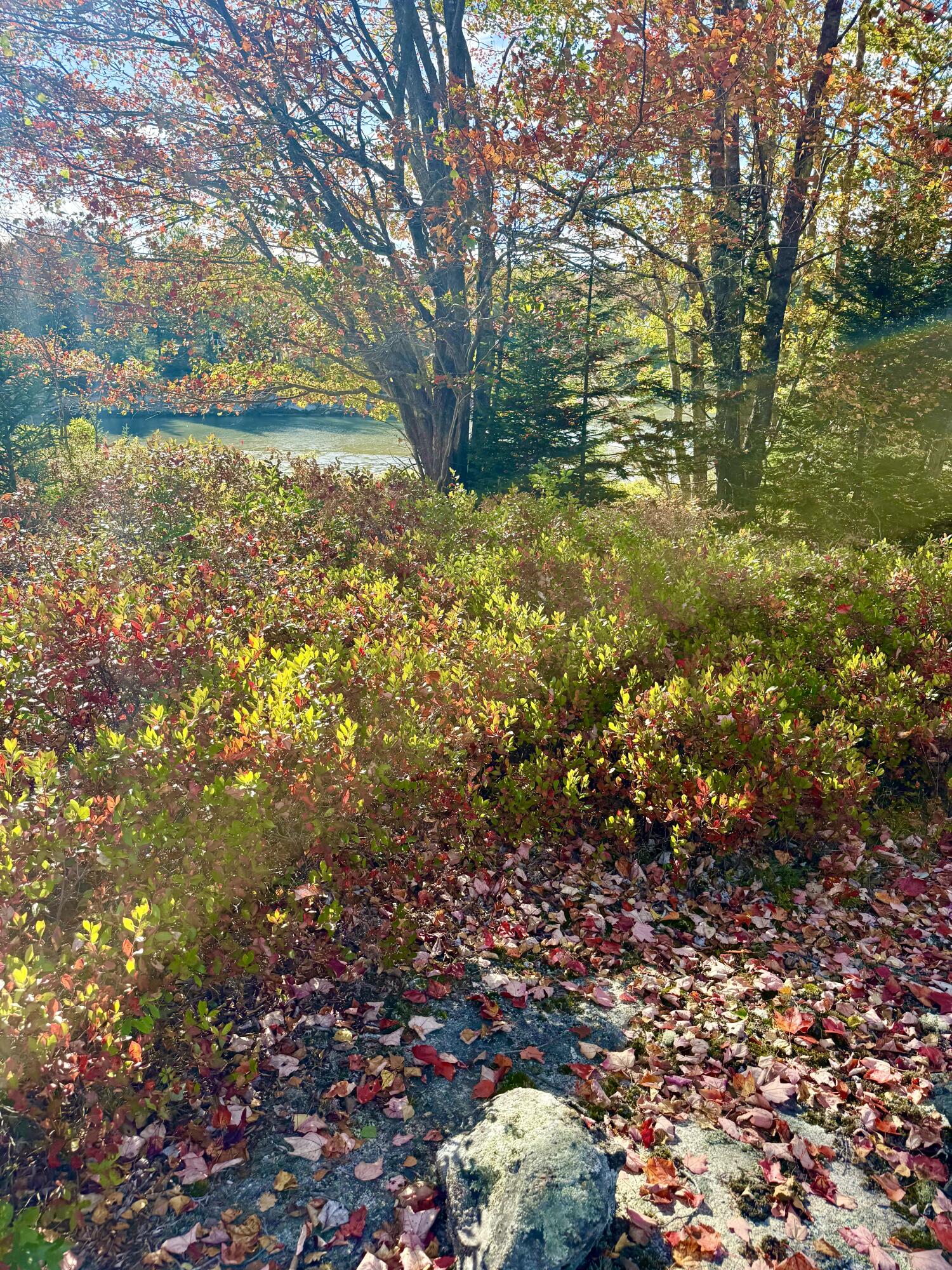 6-60 Round The Island Road Vinalhaven, ME 04863 - Photo 22 of 26 IMG_3560