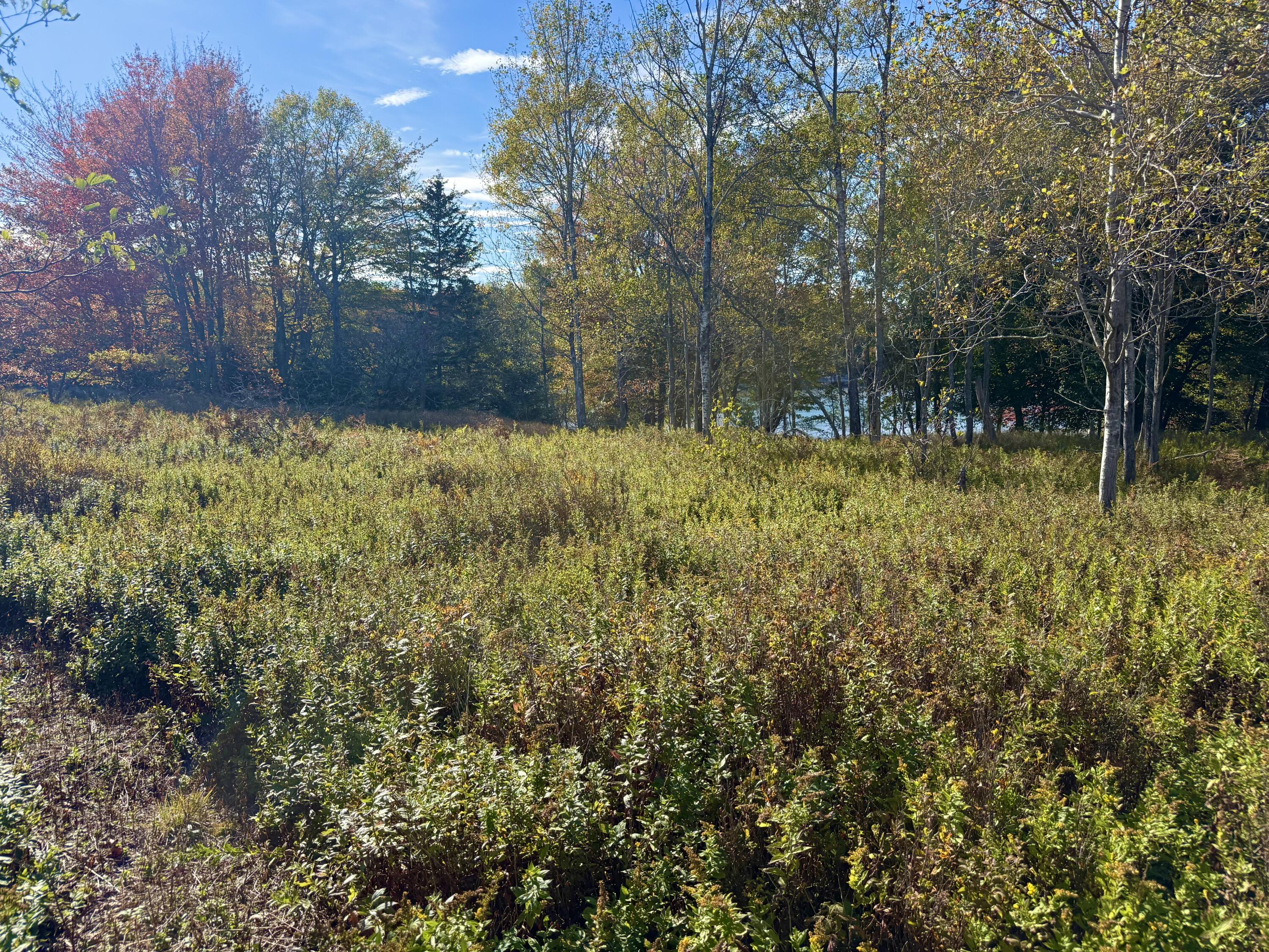 6-60 Round The Island Road Vinalhaven, ME 04863 - Photo 23 of 26 IMG_3557