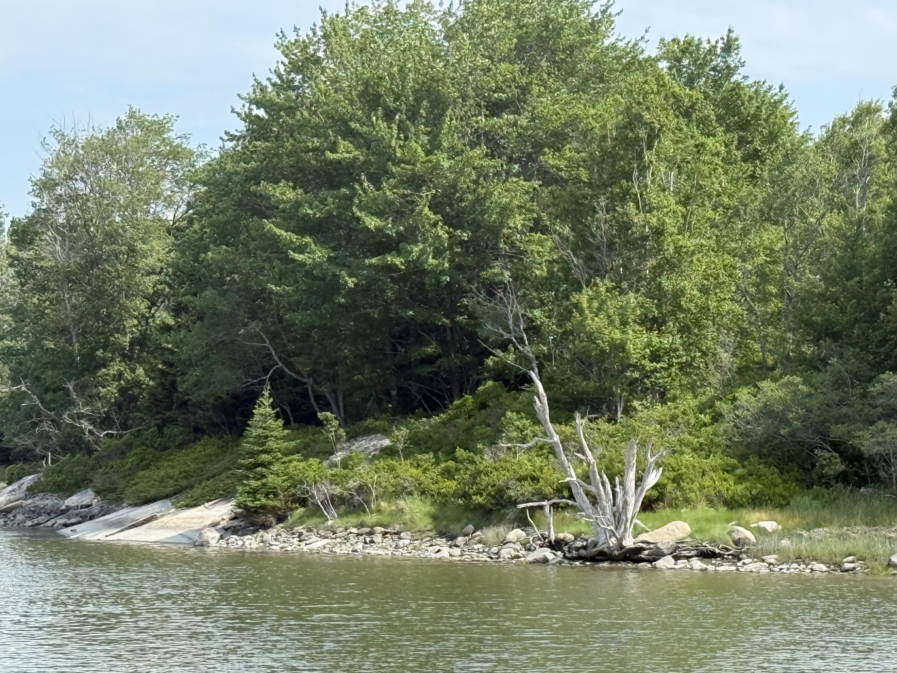 6-60 Round The Island Road Vinalhaven, ME 04863 - Photo 6 of 26 IMG_1945