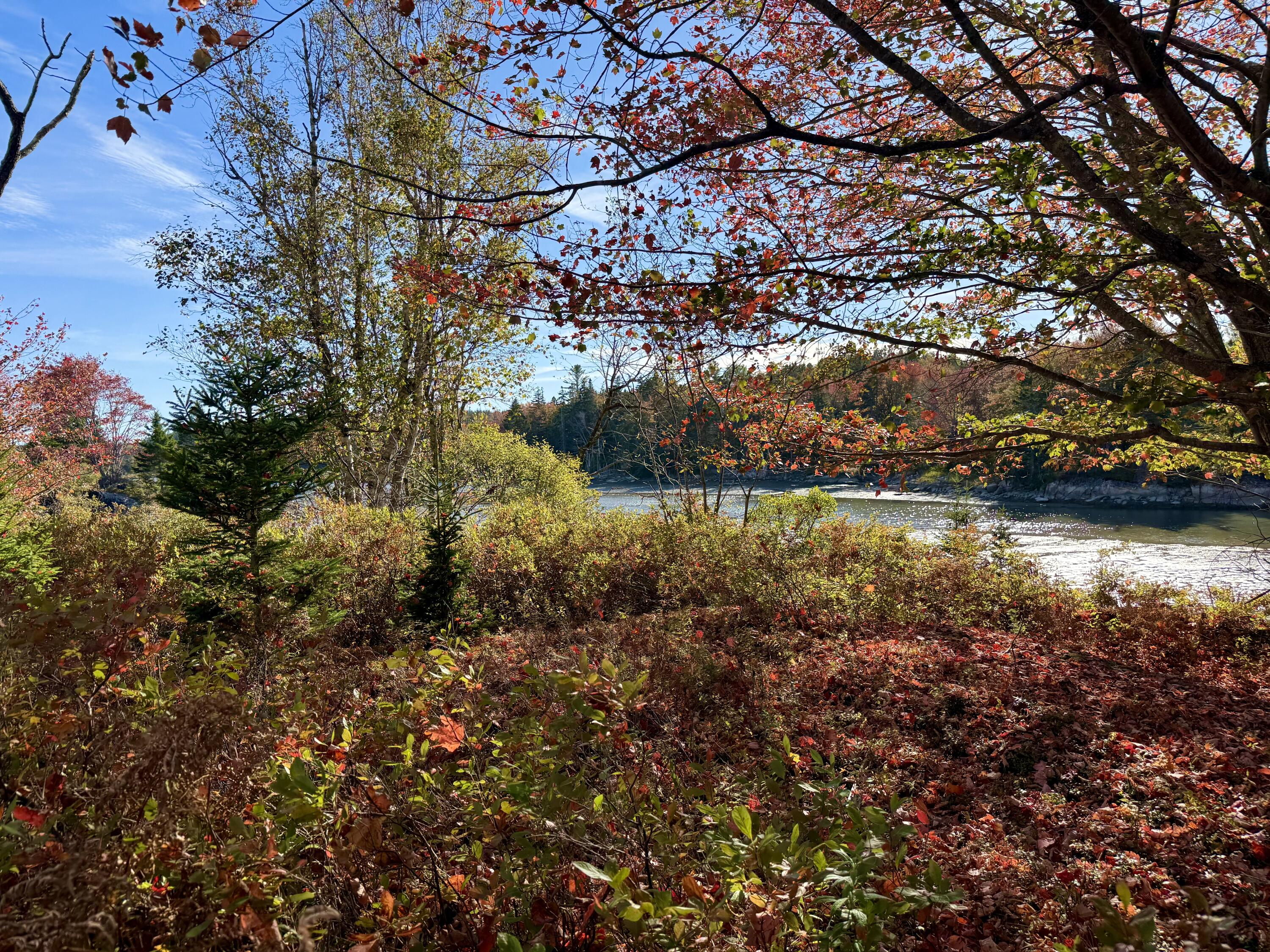 6-60 Round The Island Road Vinalhaven, ME 04863 - Photo 8 of 26 IMG_3561