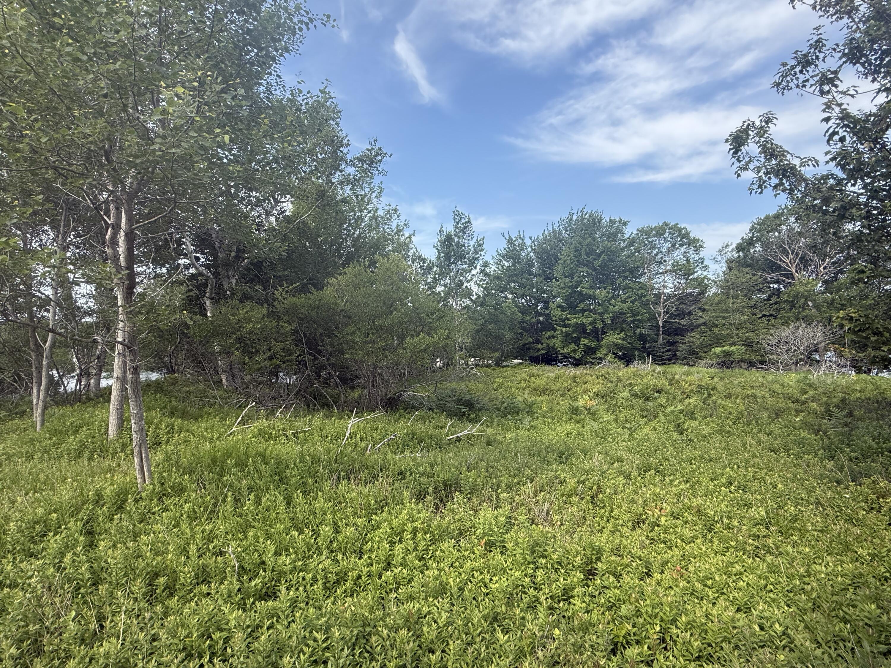 6-60 Round The Island Road Vinalhaven, ME 04863 - Photo 9 of 26 IMG_1932