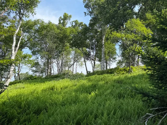 $600,000 | 6-60 Round The Island Road, Vinalhaven, ME 04863