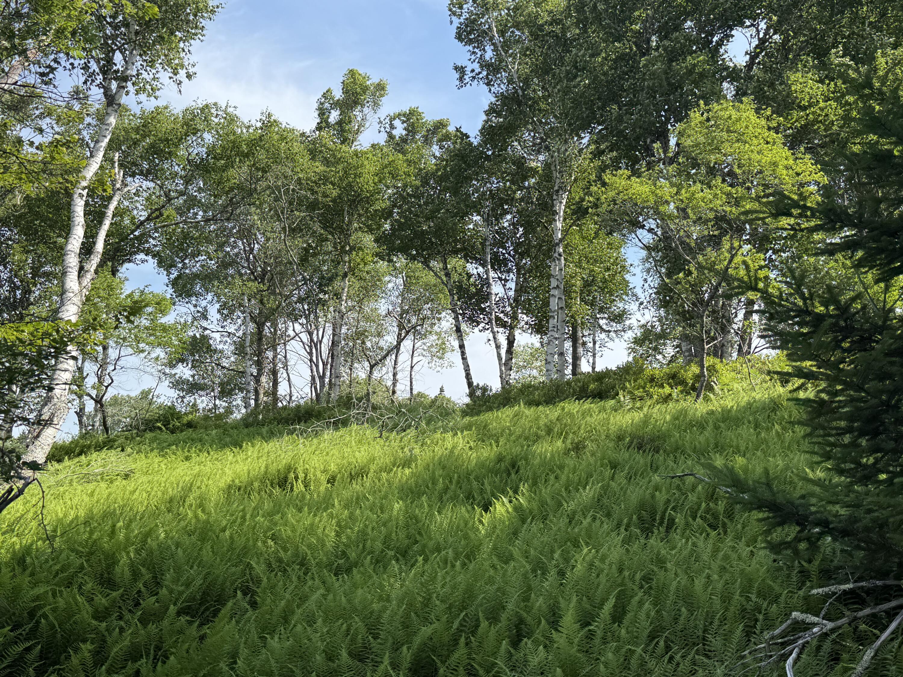 6-60 Round The Island Road Vinalhaven, ME 04863 - Photo 10 of 26 IMG_1957