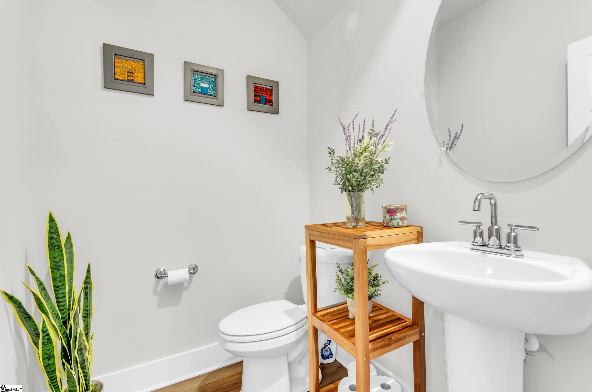 19 Centimeters Drive Mauldin, SC 29662 - Photo 30 of 35